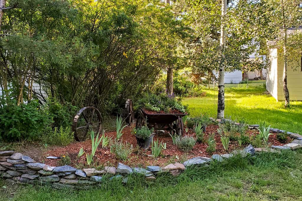 Charming Buena Vista Creekside Home: Walk to Main!