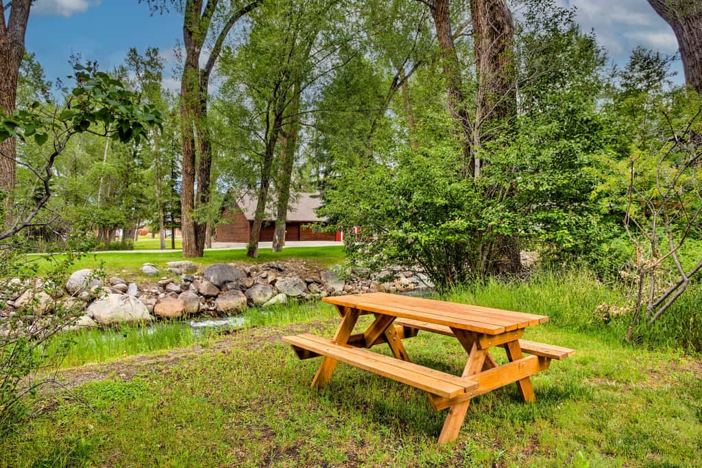 Charming Buena Vista Creekside Home: Walk to Main!