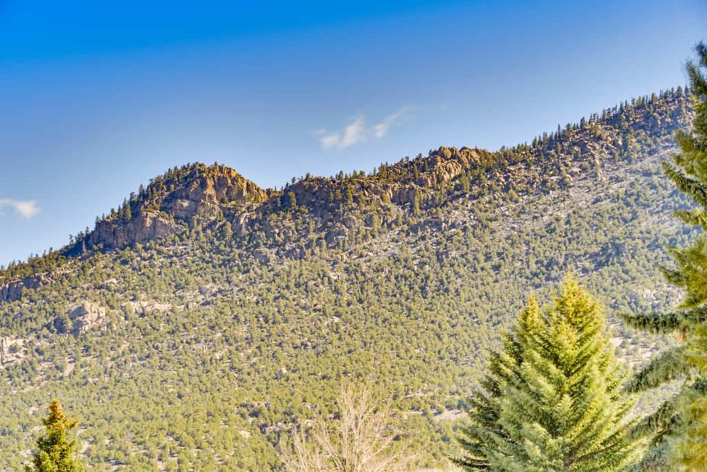 Pet-Friendly Buena Vista Home w/ Yard & Hot Tub!