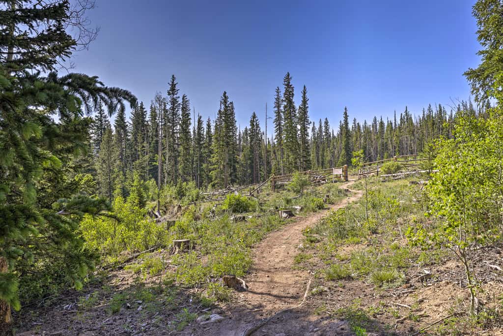 Silverthorne Condo w/ Views ~ 11 Mi to Ski Slopes