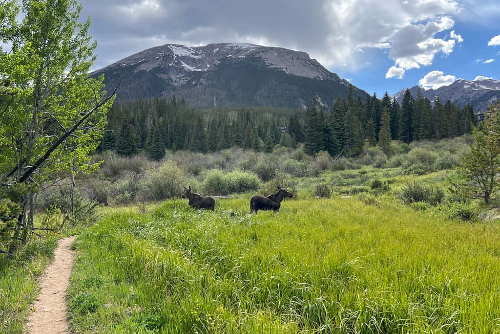 Silverthorne Condo w/ Views ~ 11 Mi to Ski Slopes