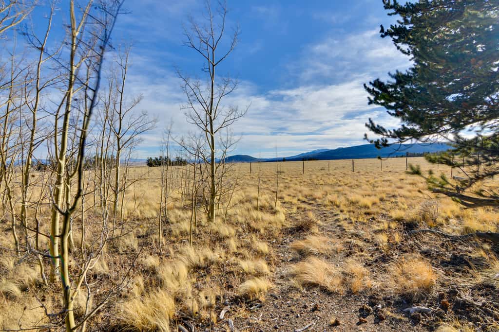 Fairplay Cabin w/ Mtn Views - 24 Mi to Breck!