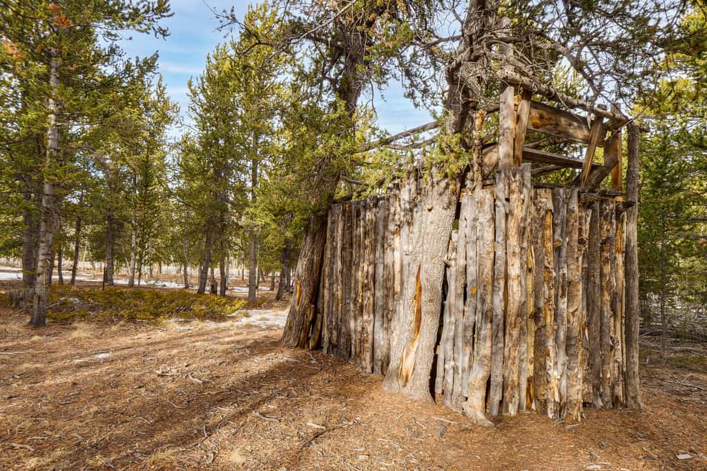 Fairplay Cabin w/ Mtn Views - 24 Mi to Breck!