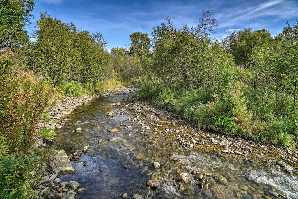 Homer Hideaway on Fritz Creek! Families Welcome
