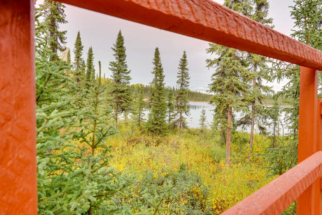 Fish, Hike & Explore: Lakefront Cabin in Soldotna