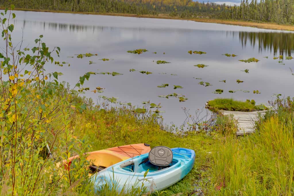 Fish, Hike & Explore: Lakefront Cabin in Soldotna