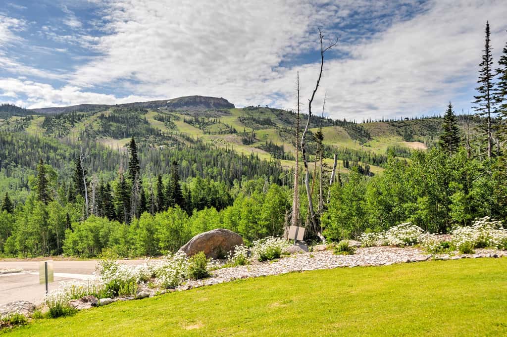 Ski-In/Ski-Out Brian Head Condo w/ Pool Access!