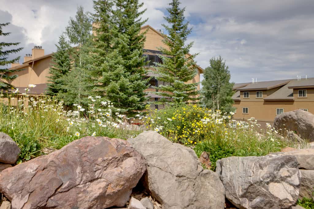 Ski-In/Ski-Out Brian Head Condo w/ Pool Access!
