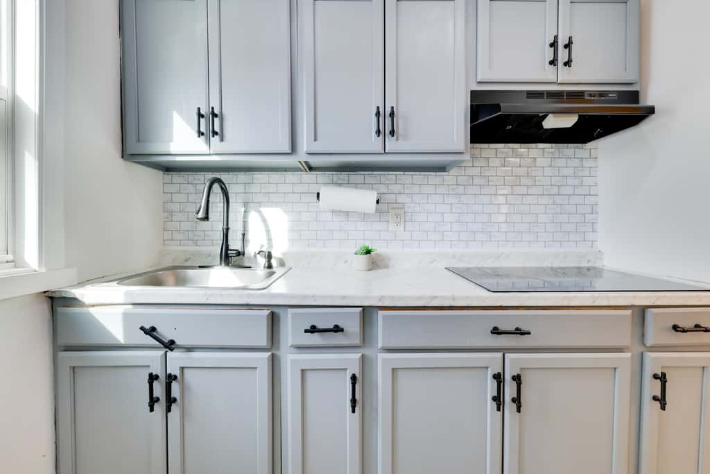 Walk to Roger Williams Park: Apt in Providence!