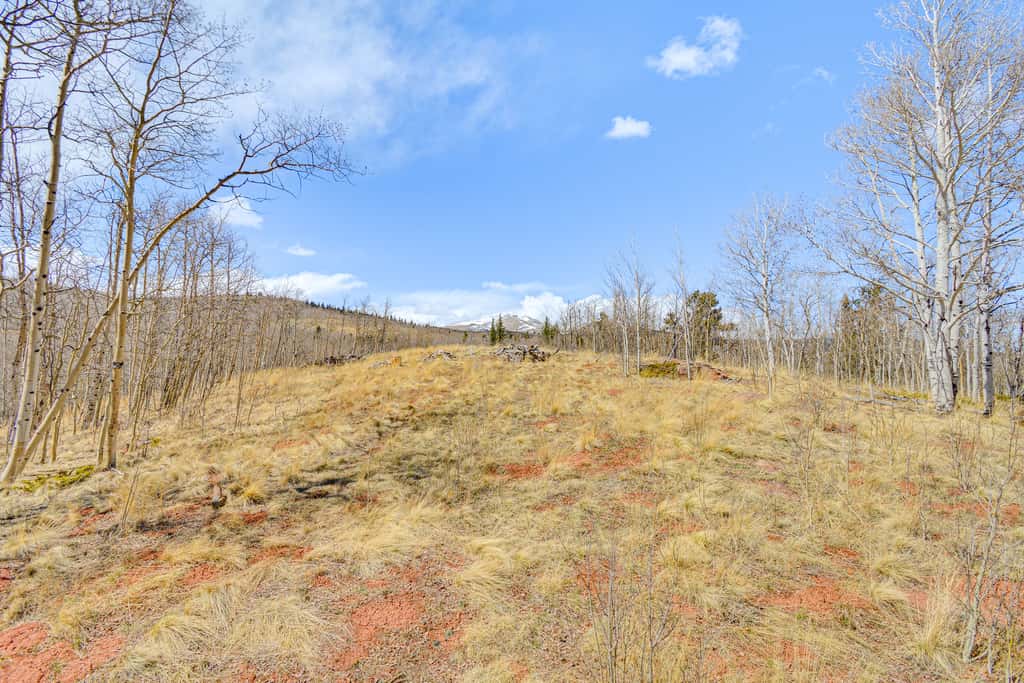 Fairplay Cabin w/ Mtn View ~ 4 Mi to Platte River!