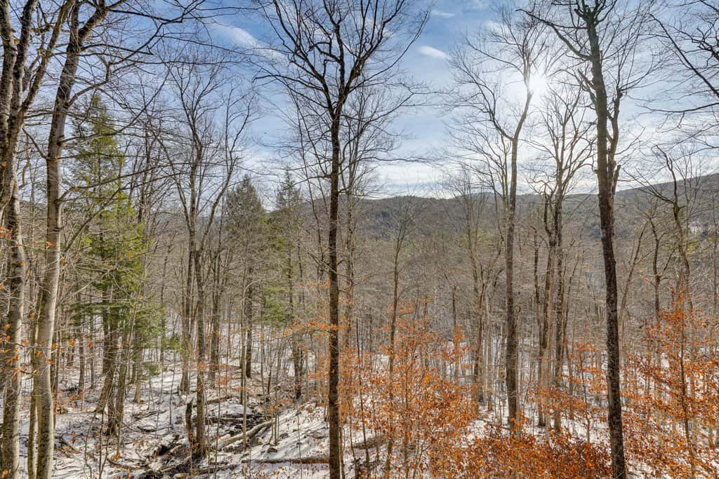 Near Okemo & Killington: Home w/ Sauna & Fireplace