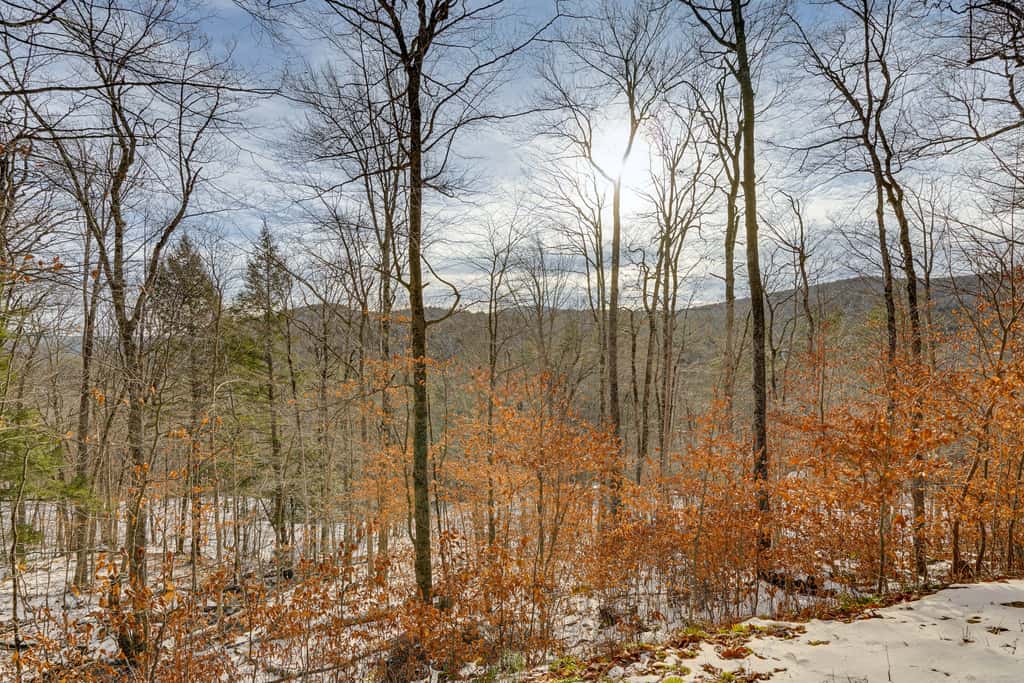 Near Okemo & Killington: Home w/ Sauna & Fireplace