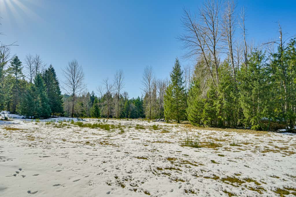 Mtn-View Packwood Cabin: Hot Tub, Deck & Fire Pit