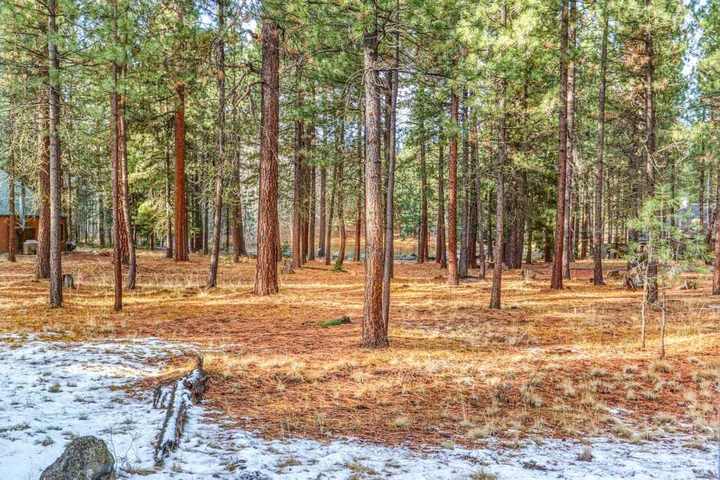 Black Butte Retreat w Resort Amenities, Near Hiking and Bike Trails
