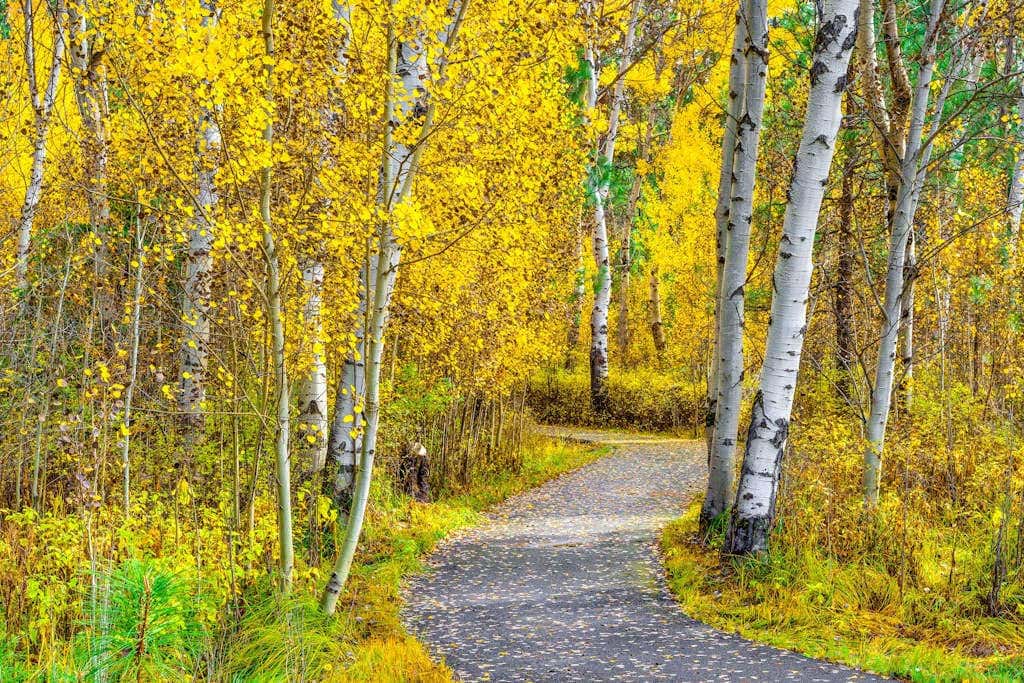 Black Butte Retreat w Resort Amenities, Near Hiking and Bike Trails