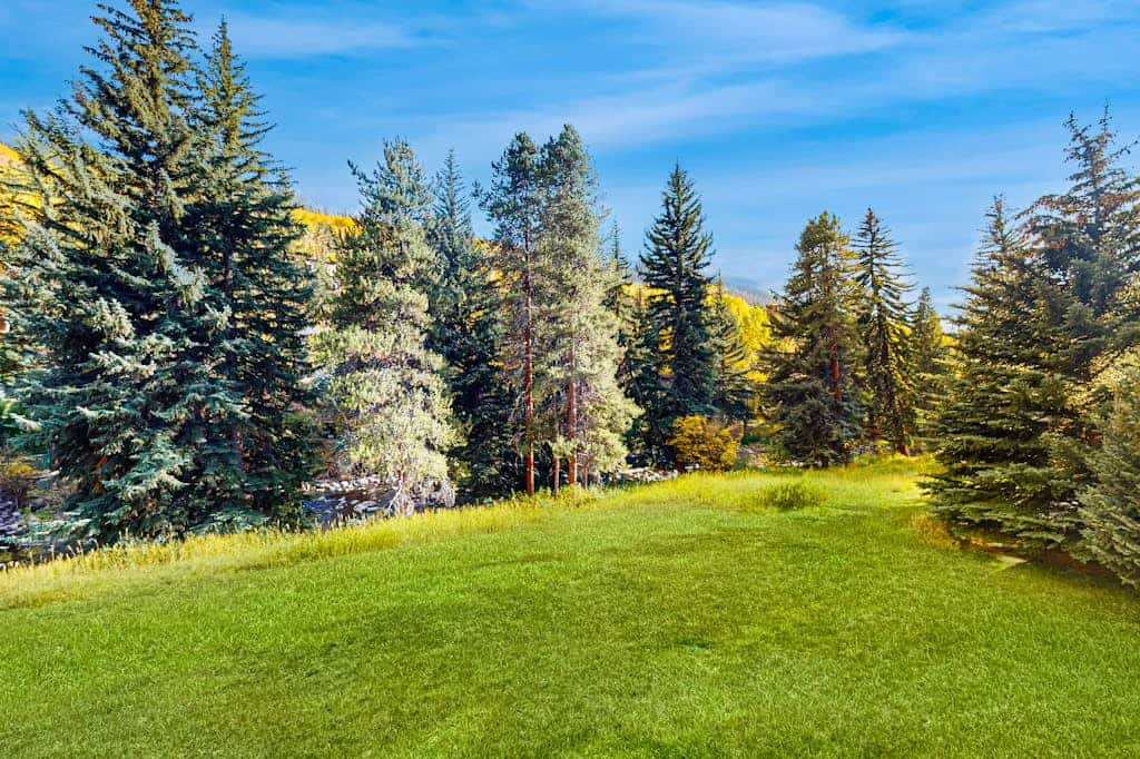 Renovated townhome on Gore Creek with 2 decks, steps to ski shuttle