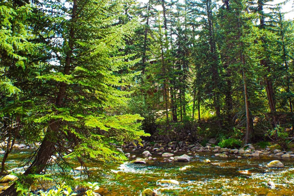 Spruce Creekside