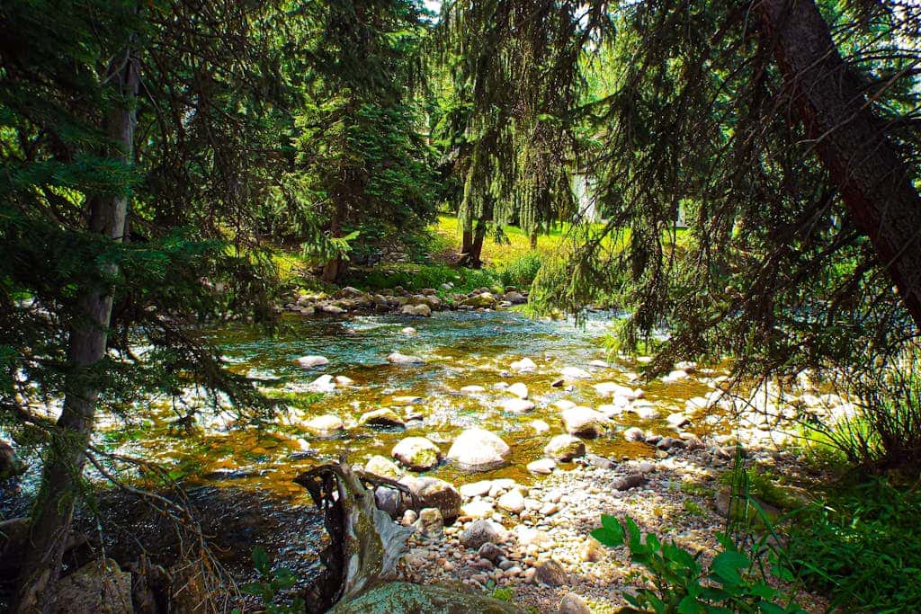 Spruce Creekside