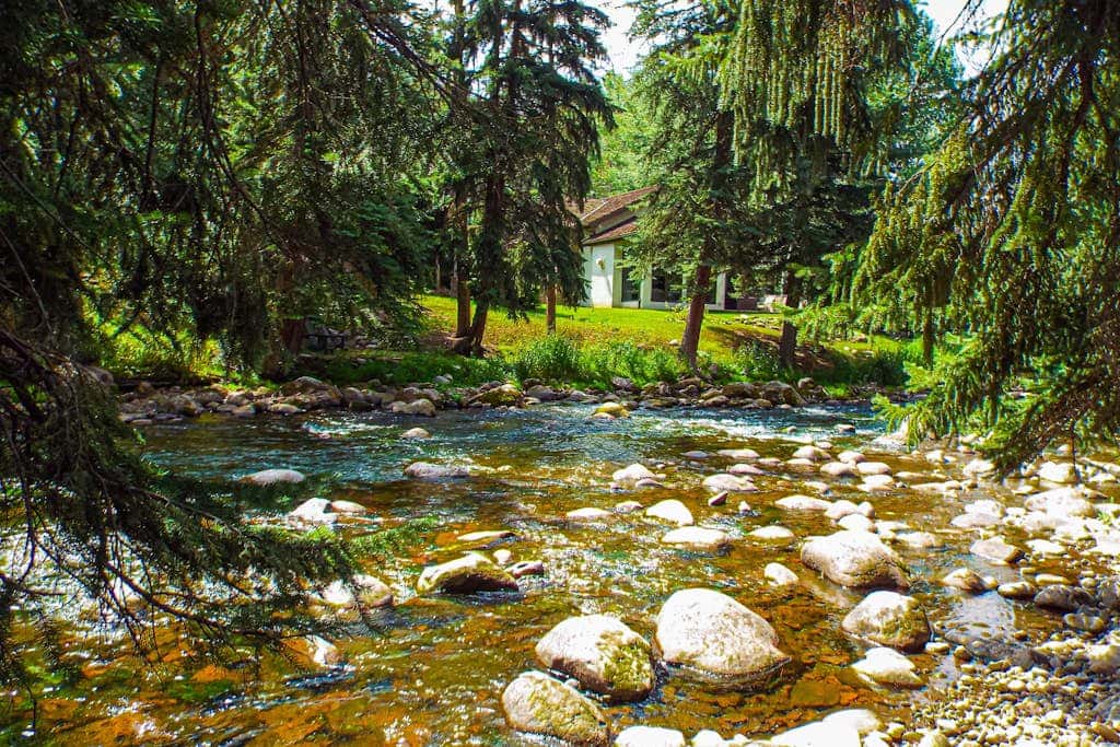 Spruce Creekside