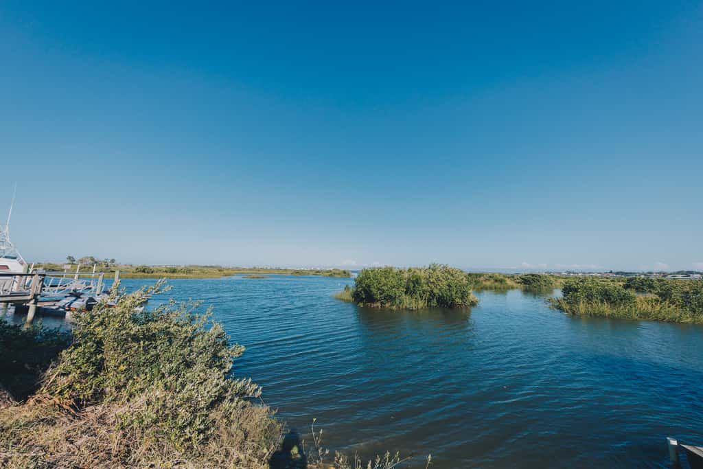 Waterscape