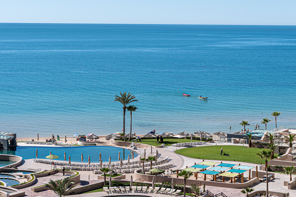 Las Palomas Phase 1 Rubi 707 Exceptional OceanView 1BR 1BA Unit.