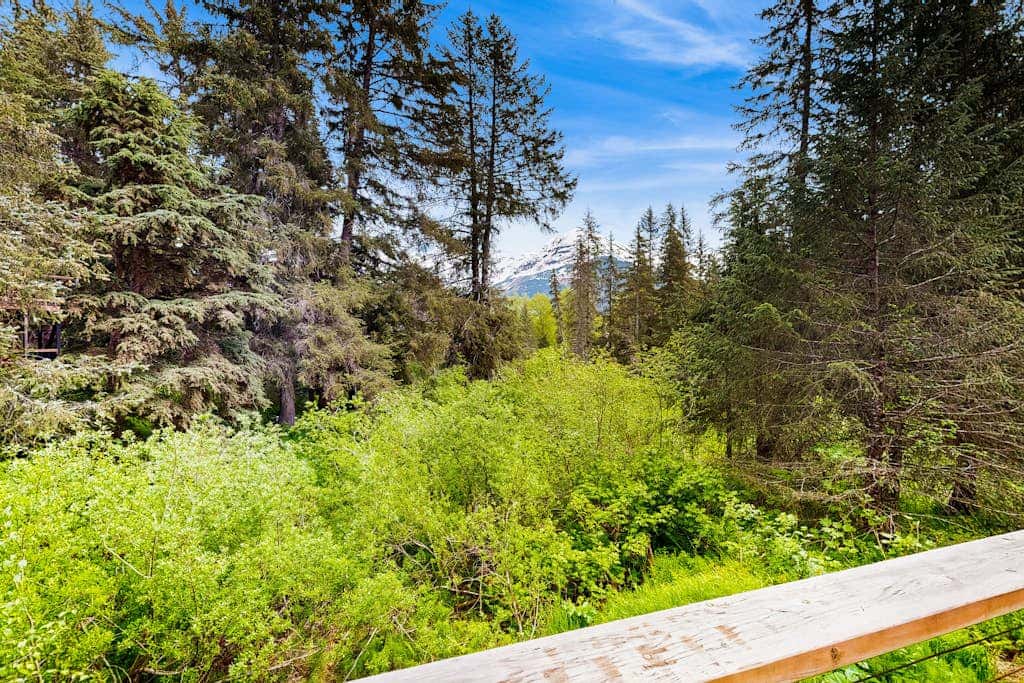Girdwood Mountain House