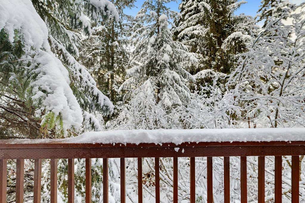 First Tracks earns its name—a fully renovated ski-in/ski-out condo located directly at the base of Mt. Alyeska in the Alyeska North building, engineered so your morning routine is down to one simple step: walk out and ski. Uniquely featuring its own entirely private front entrance, the suite boasts an updated open kitchen and living layout with an oversized bar top built for easy post-trail entertaining. Enjoy high-speed internet, Netflix streaming, a reserved building parking pass, and direct access to a building recreation room equipped with a custom pool table and games. Three restaurants, a bar, ski shops, and the chair lift are all within a quick walk. Standard Specs: Full kitchen with breakfast bar, private front entrance, flat-screen TV with Netflix streaming, high-speed WiFi, keypad entry, and building laundry/rec room access with pool table. Reserved building parking pass for one vehicle. True ski-in/ski-out. Sleeps 4.