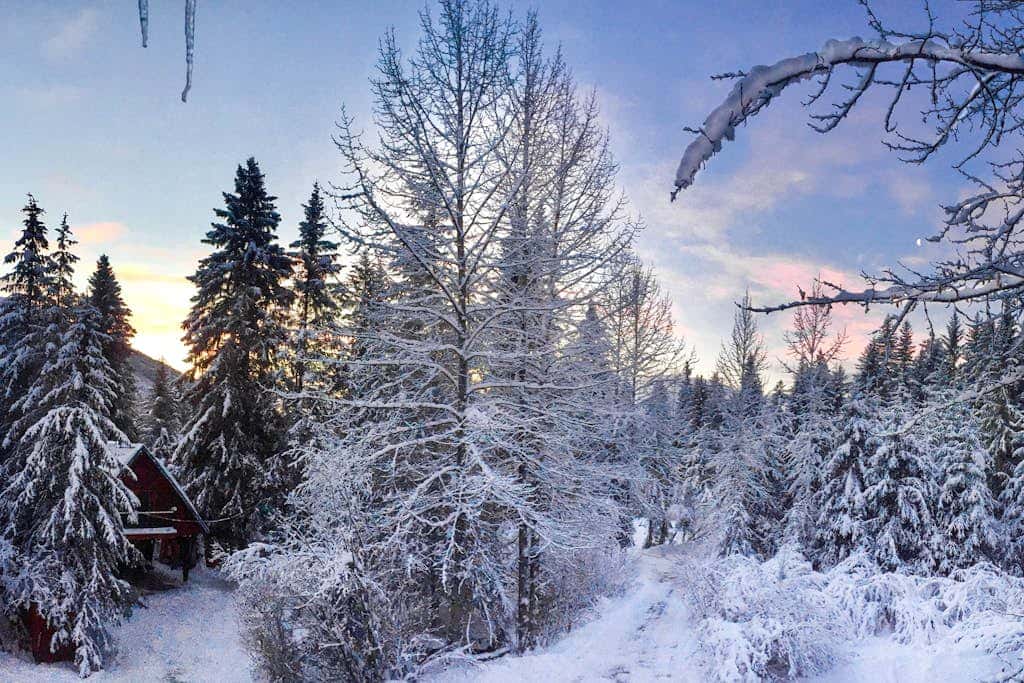 Christina Cabin