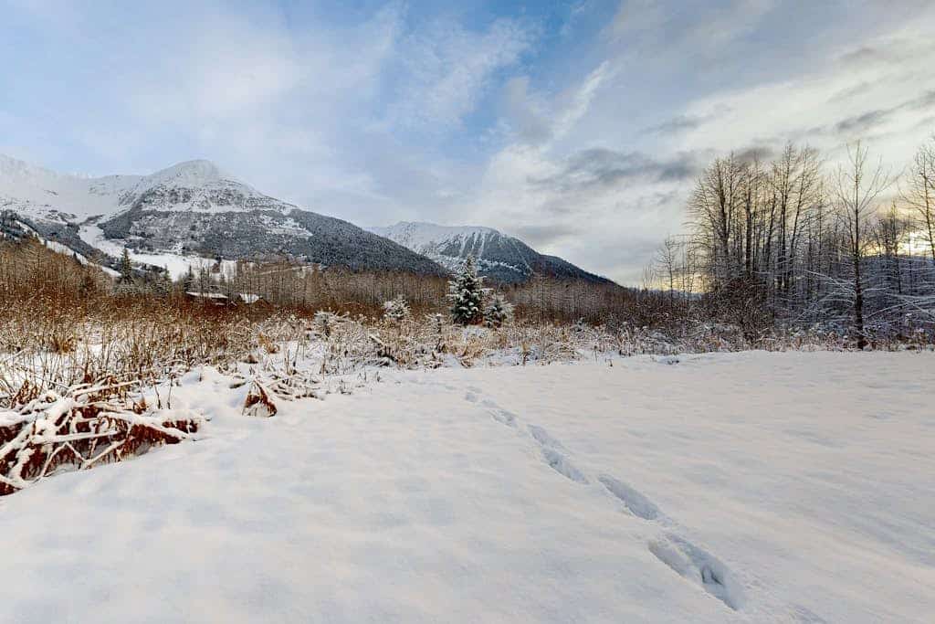Stunning mountain-view home on Glacier Creek with deck, BBQ, and family friendly