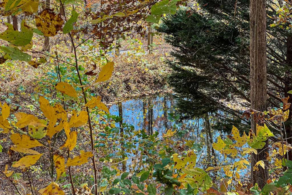 Picture-perfect cabin with private hot tub, deck space, & more