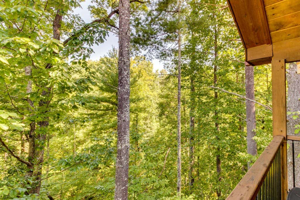 Deer Crossing Cabin