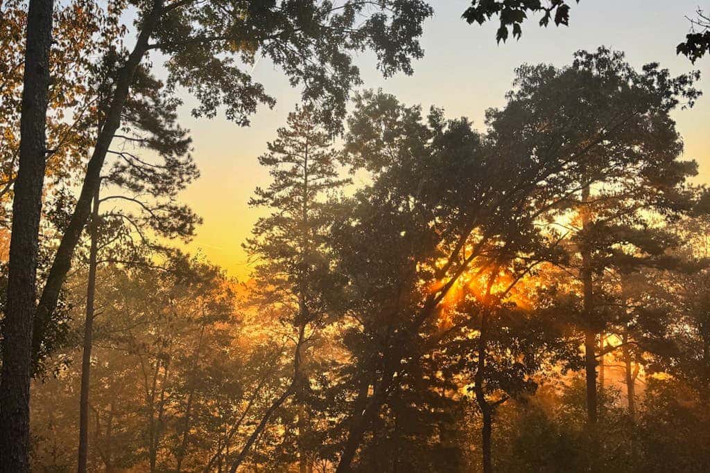 Maple Summit