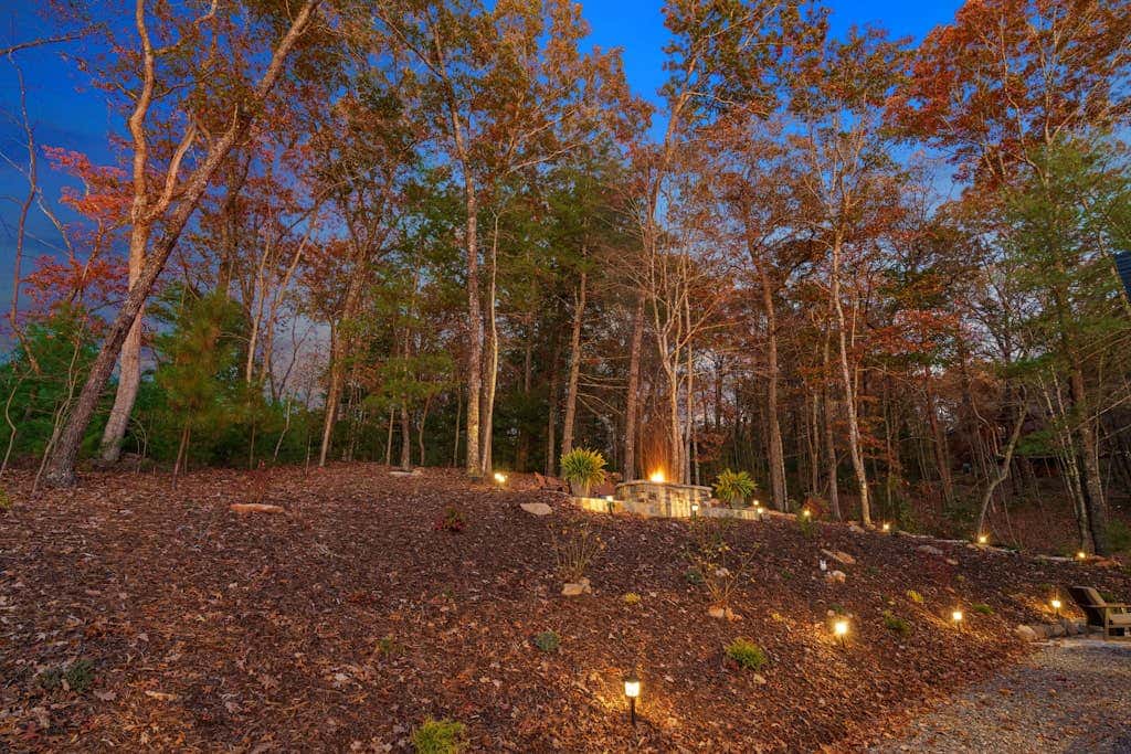 Shalom in the Wood