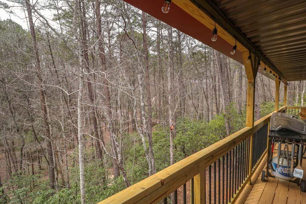 Cozy Bear Cabin #1