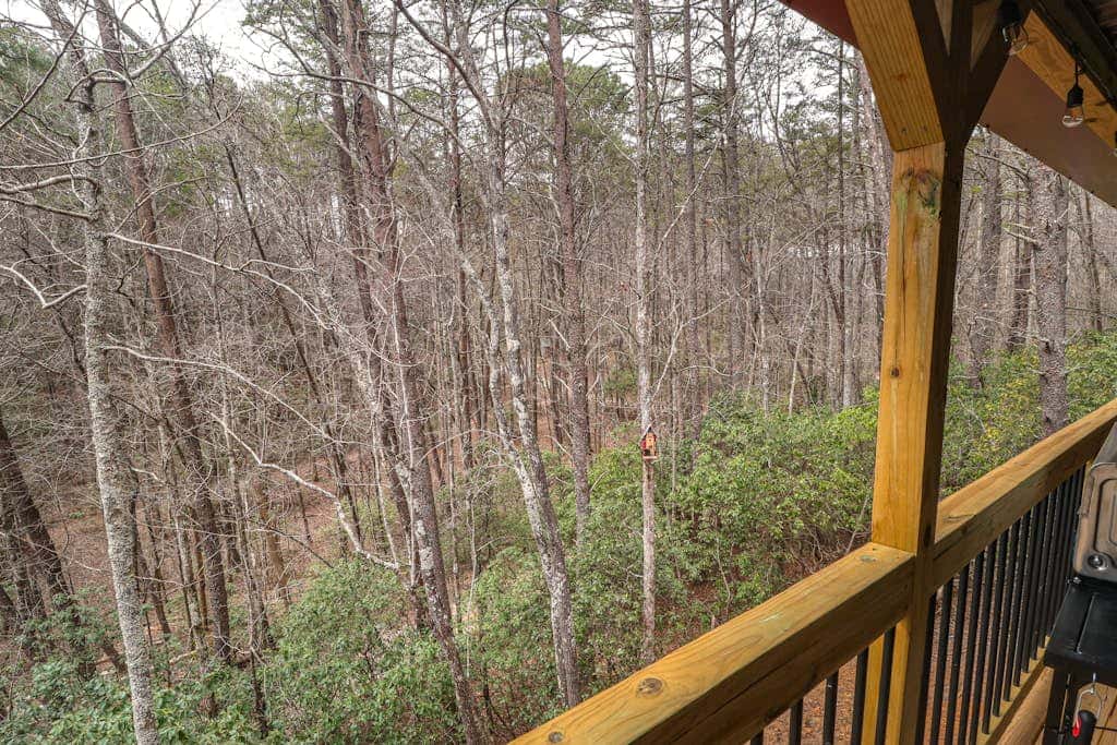 Cozy Bear Cabin #1