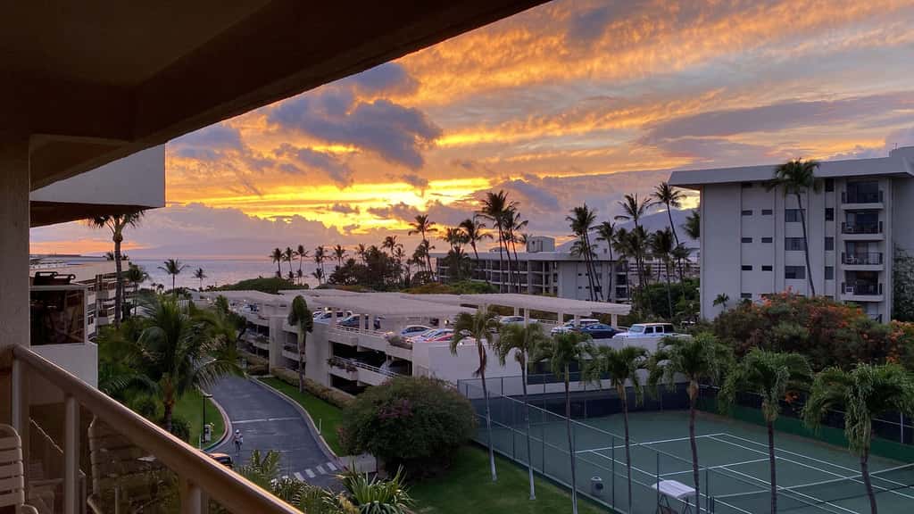 Maui Banyan Q408