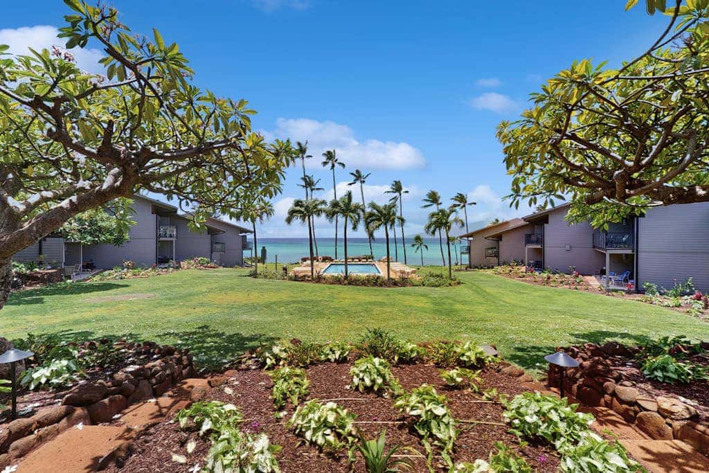 Mahina Surf 115