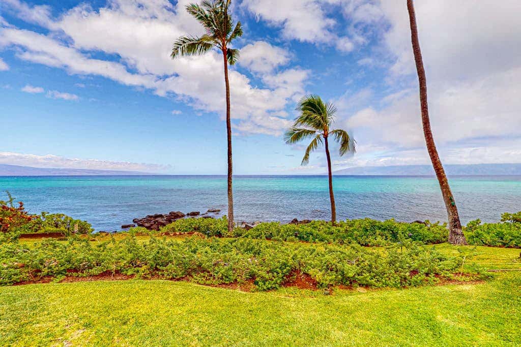 Mahina Surf 115