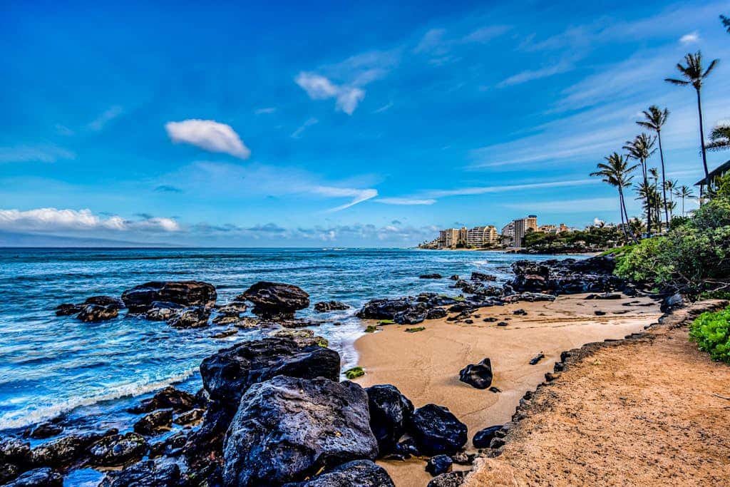 Mahina Surf 115