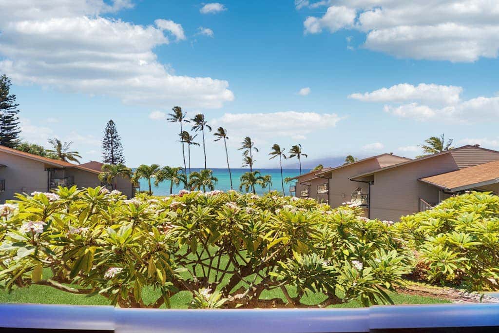 Mahina Surf 213