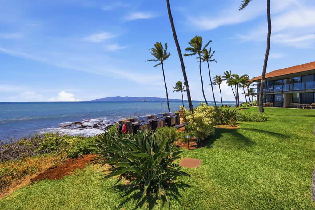 Mahina Surf 213