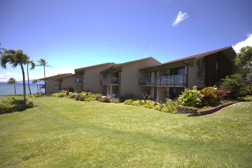 Mahina Surf 213