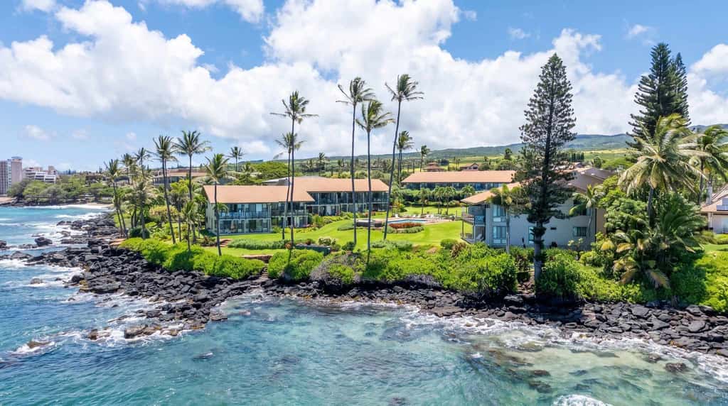 Mahina Surf 213