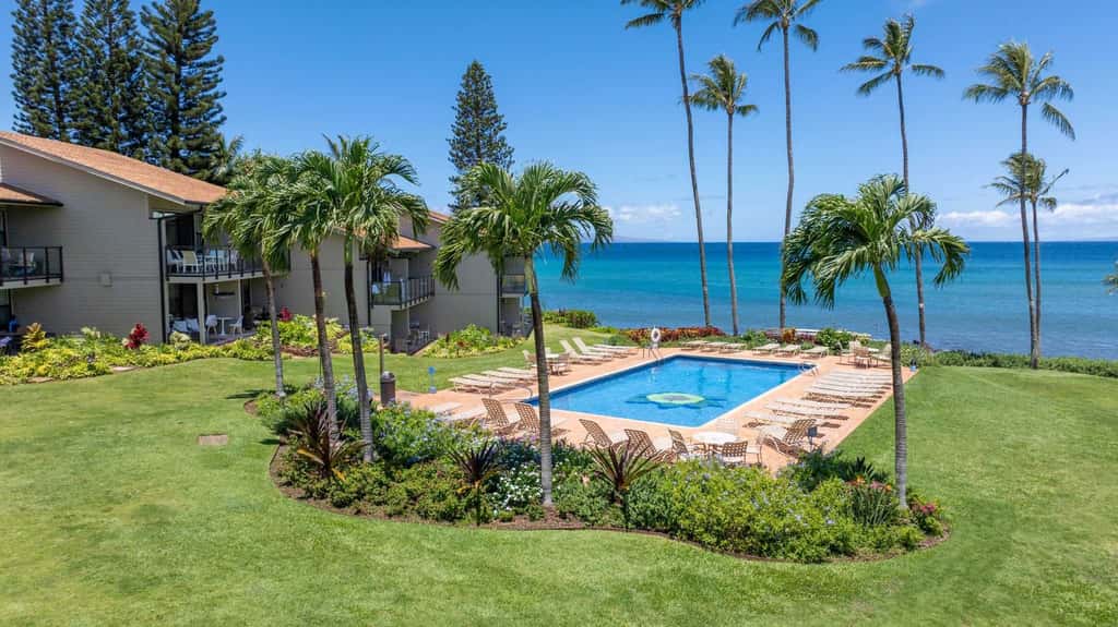 Mahina Surf 213