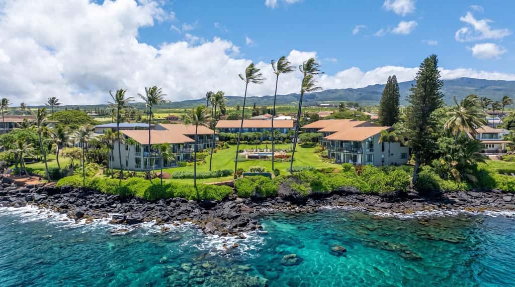 Mahina Surf 227