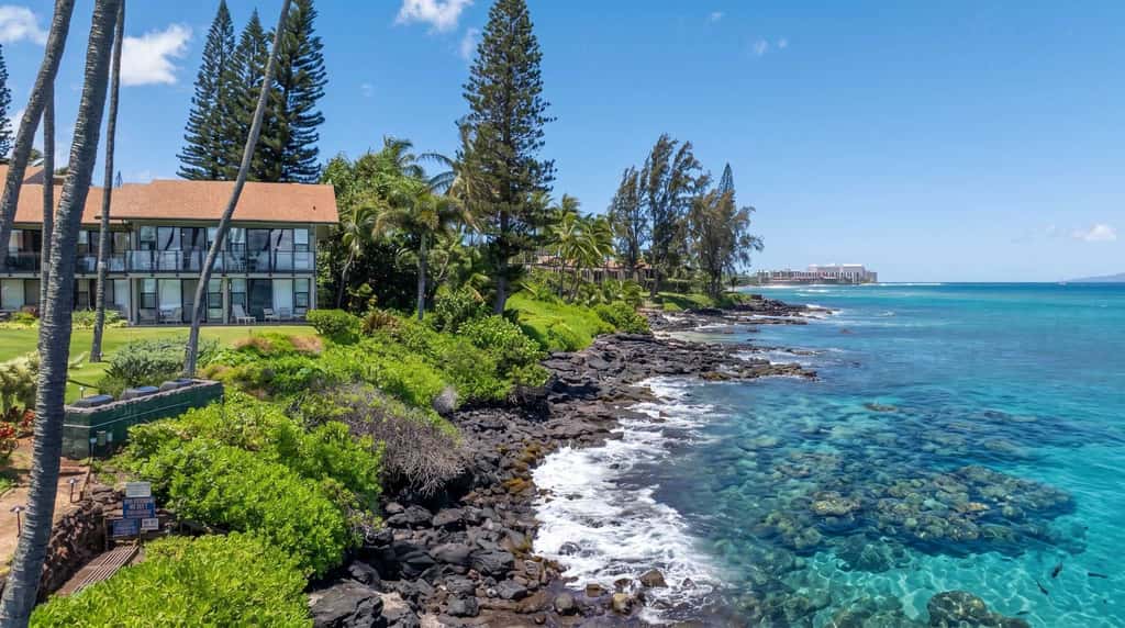 Mahina Surf 227