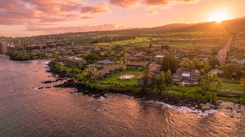 Mahina Surf 227