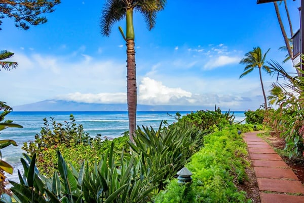 Bright, island retreat with ocean views, pool, & patio