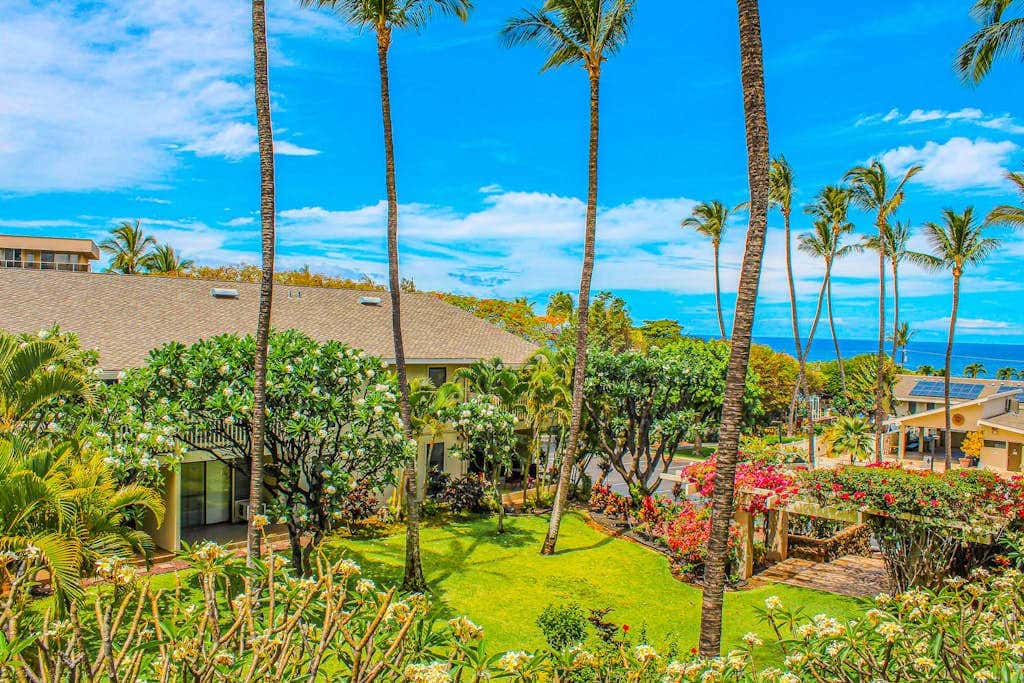 Kihei Akahi C307