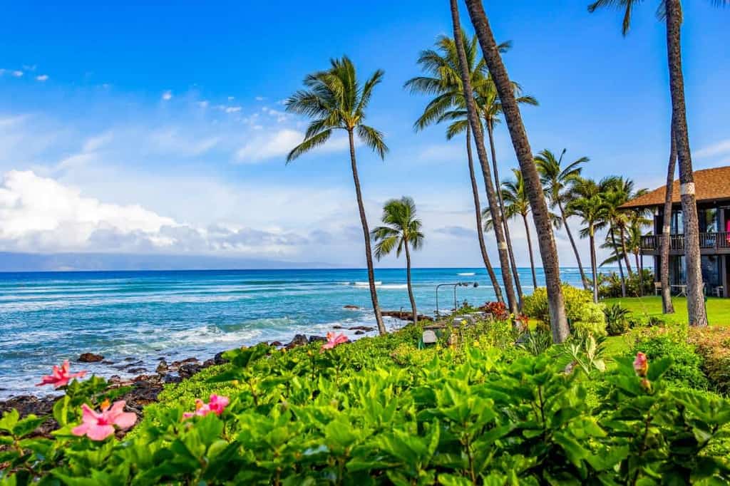 Perfect beach getaway with pool & high-speed WiFi